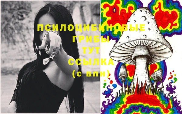 COCAINE Медногорск