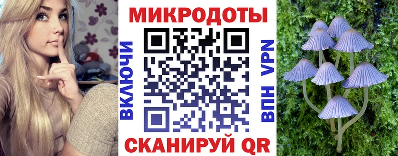 Псилоцибиновые грибы Psilocybe  Урюпинск 