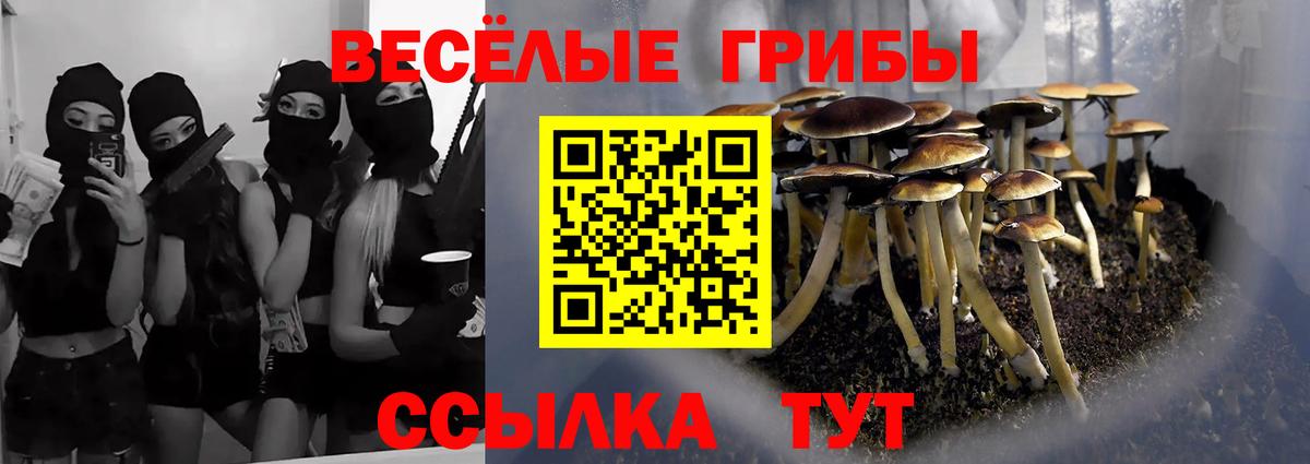 что такое наркотик  Вход с VPN  Урюпинск  Псилоцибиновые грибы GOLDEN TEACHER 